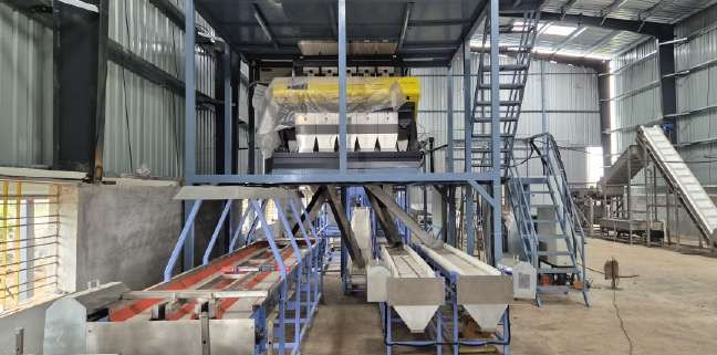 Colour & laser sorter